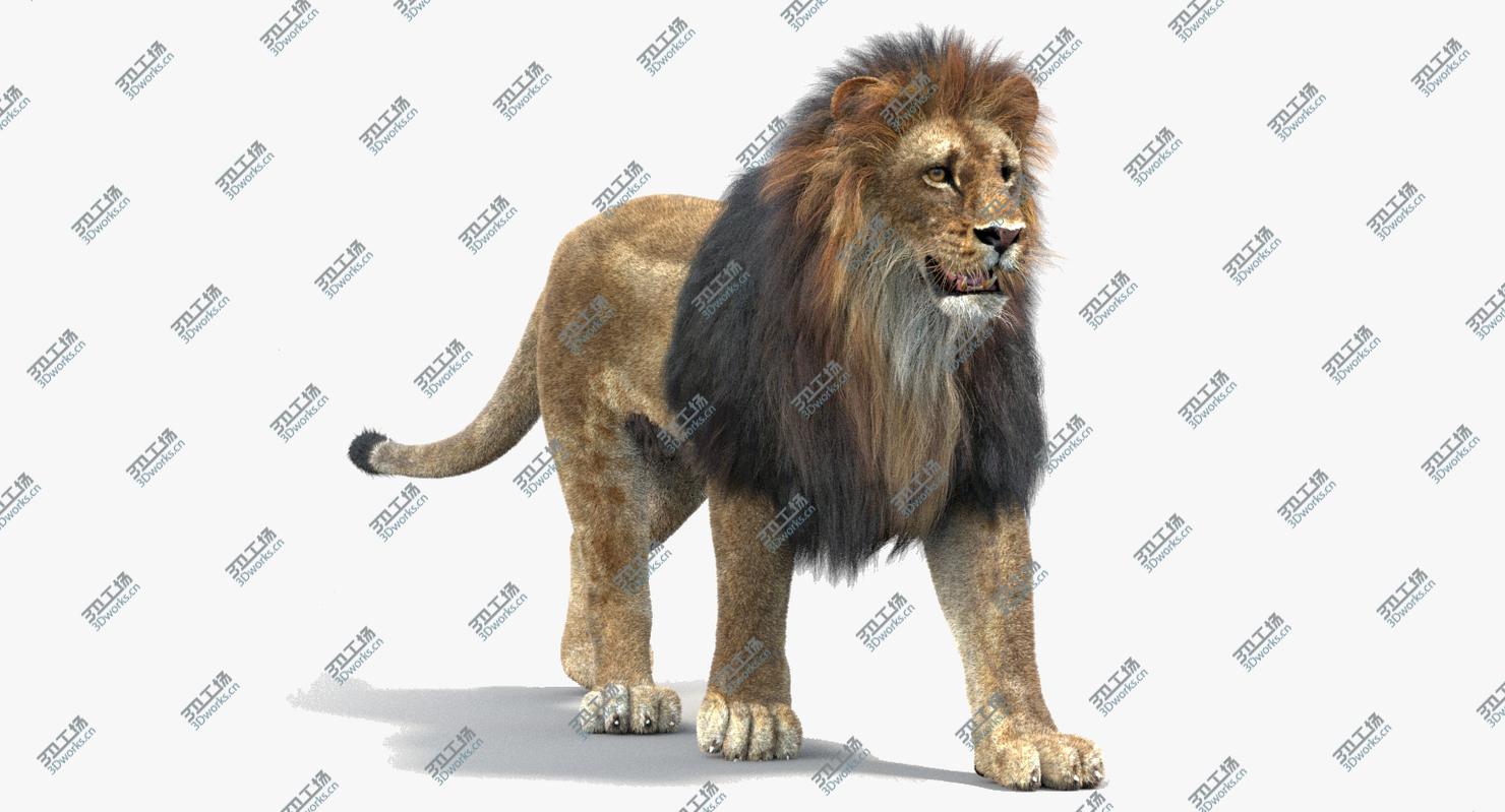 images/goods_img/202105072/3D model Big Cats Animated (Fur)/4.jpg